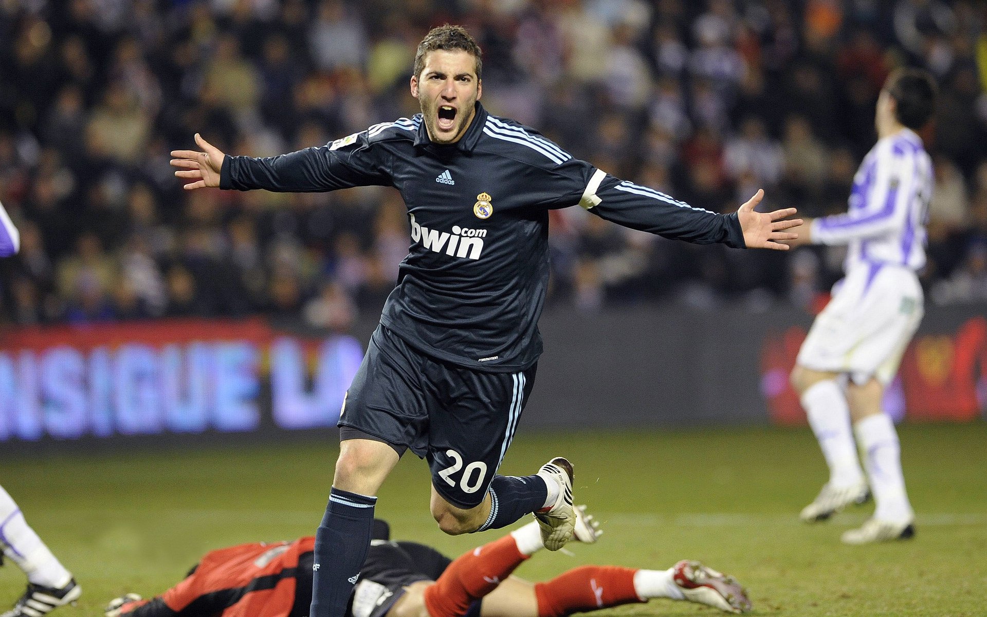 索赔绿色：国际赛场上的碳中和目标，中国绿色碳基金碳补偿标识